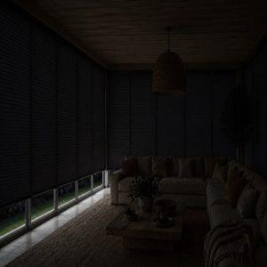 Plicell-nitelife-Medium