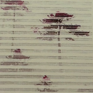 Baskılı 4510