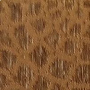 zeugma_03